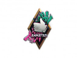 Эмблема, надпись, командир, медаль и большая декаль Amway921 в Битве блогеров 2021 World of Tanks