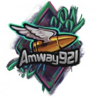 Эмблема, надпись, командир, медаль и большая декаль Amway921 в Битве блогеров 2021 World of Tanks