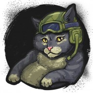 Большая декаль «Корейский кот» из патча 1.8 World of Tanks