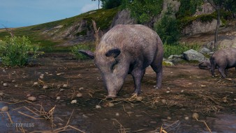 Boars on the map "Outpost" in World of Tanks
