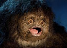 Картинка комментатора