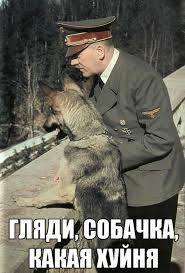 Картинка комментатора