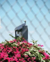 29 августа выходит обновление 9.20 WoT