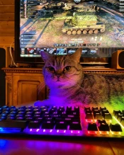 Ответы разработчиков World of Tanks со стрима EviL_GrannY