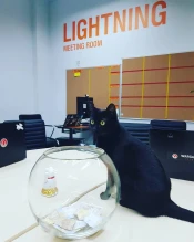 Компания Wargaming перевезла из Минска в Киев около 300 сотрудников — СМИ