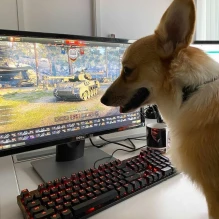 Официальные даты выхода обновления 1.13 в World of Tanks