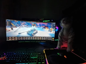 Технические проблемы в Премиум магазине World of Tanks