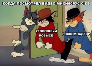 Подробности об уголовном деле Mixa60RuS.