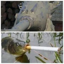 Немного классики