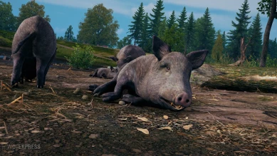 Кабаны на карте «Застава» в World of Tanks