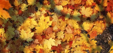 Новости и акции Мира танков во второй половине Ноября 2022 г.