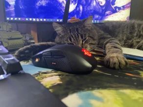 Технические работы на серверах 22 ноября в Мире танков