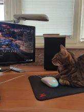 Не ставьте целые числа в своих ставках на Аукционе 2023 в Мире танков