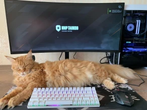 Линия фронта: 3-й запуск в Мире танков