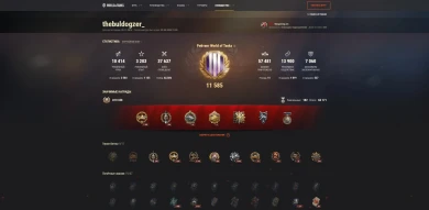 Обновлённый вид профиля игрока на сайте World of Tanks