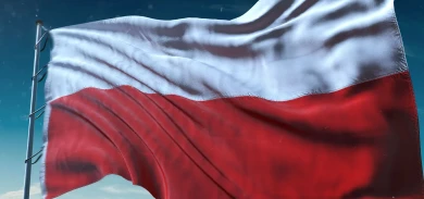 Наборы с польским экипажем появились в продаже World of Tanks