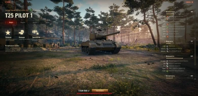 Баги в новом магазине World of Tanks