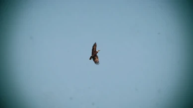 Небольшое обновление для версии 1.1 WoT