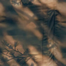 2D-стиль «Лесной покров» в World of Tanks