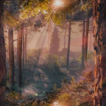 2D-стиль «Лес на рассвете» в World of Tanks