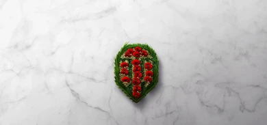 Поддержите детей войны в 100-летнюю годовщину перемирия в World of Tanks Поддержите детей войны в 100-летнюю годовщину перемирия в World of Tanks