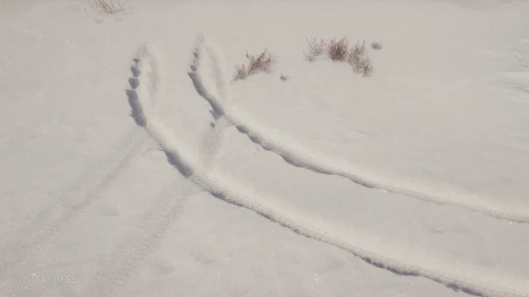 Небольшое обновление 22 января в World of Tanks 2026